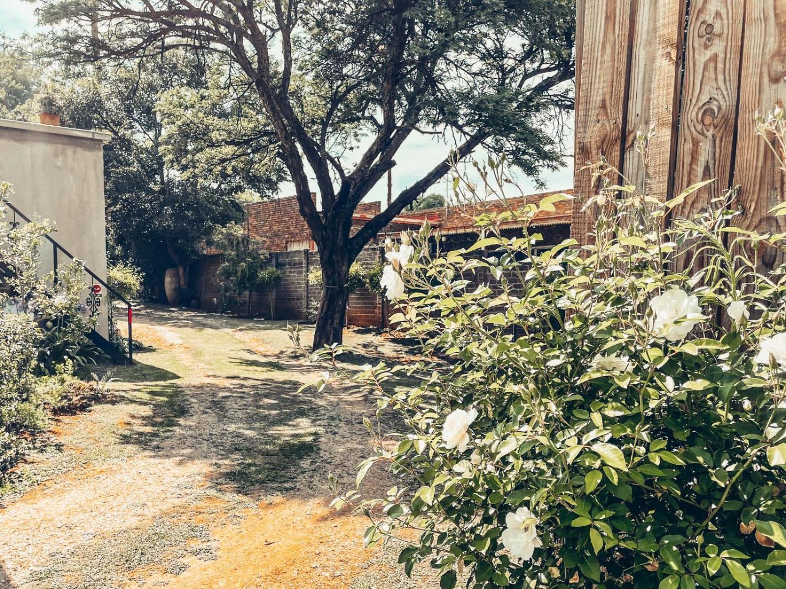 59 On True North Guest Rooms Johannesburg Eksteriør billede